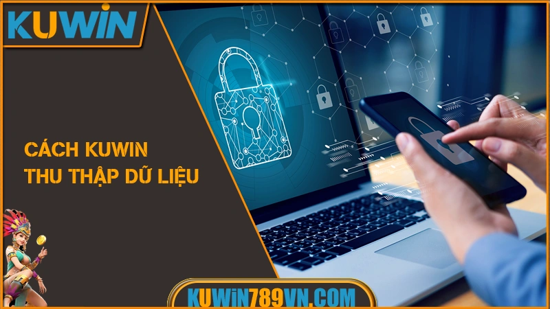 Cách KUWIN thu thập dữ liệu